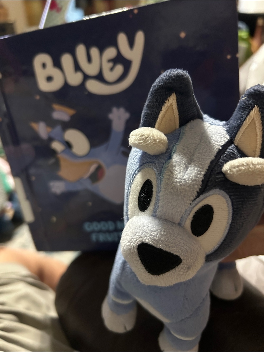 Disney , Bluey , 7” Plush Toy AND Book “Good Night Fruit Bat” - Both Preowned.